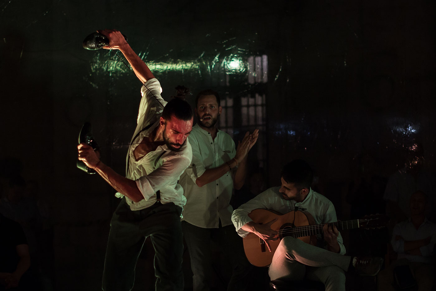 Fotografía de espectáculos de flamenco