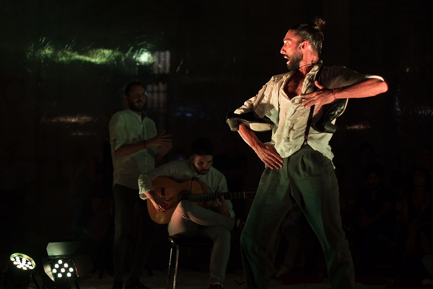 Fotografía de espectáculos de flamenco